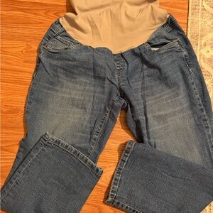 Oh Baby by Motherhood Maternity Capris